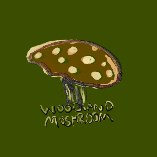 Woodland Mushroom